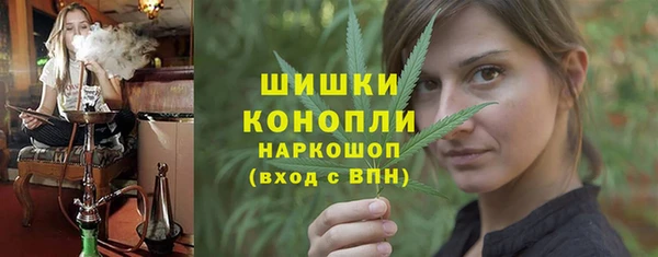 сатива Абаза