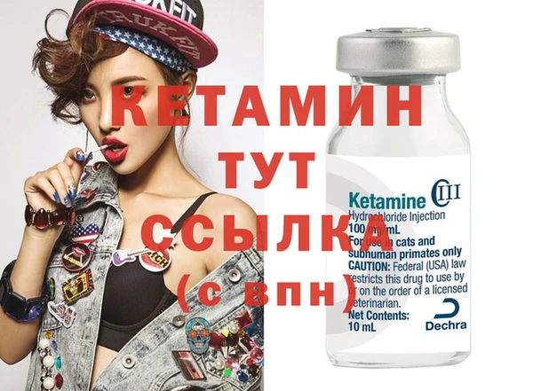 сатива Абаза