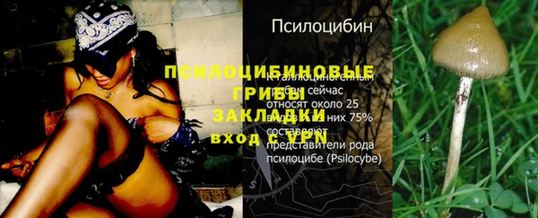 сатива Абаза