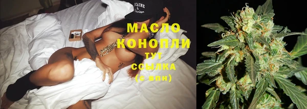 сатива Абаза