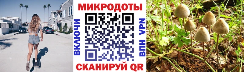 Псилоцибиновые грибы мухоморы  где купить   Энем 